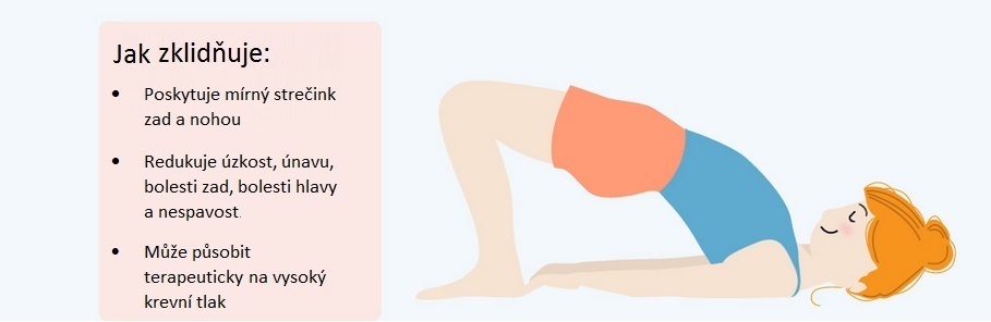 13 jednoduchých jógových pozic, které vám pomohou vyplavit stresové hormony z těla