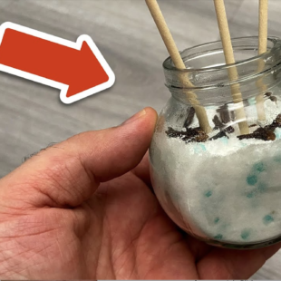 🌸🏠 Tajemství, díky kterému váš byt VŽDY nádherně voní 💥 (a je to překvapivě SNADNÉ!) 🤯✨