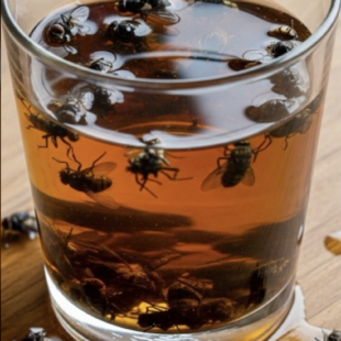 🚫 Už žádné mouchy! Tato jednoduchá past zlikviduje hmyz už za 1 minutu 🪰✨