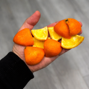 🍊 Nevyhazujte slupky z mandarinek: Přírodní podpalovače do domácnosti, které vás překvapí! 🔥