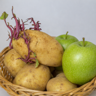 Jak zabránit klíčení brambor přirozenou cestou: jednoduchý a ověřený způsob skladování