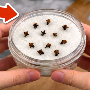 Tajemství, jak udržet domov krásně voňavý po celý den