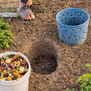 DIY systém kompostování z kuchyňského odpadu: jednoduchý způsob, jak zlepšit půdu na zahradě