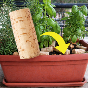 Nevyhazujte korkové zátky! Tento geniální trik ochrání vaše rostliny.￼