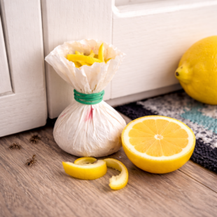 Dejte sáček s citronovou kůrou za DVEŘE 💥 Tento trik řeší problém, o kterém málokdo ví!