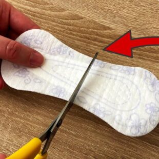 🌸 Geniální trik s intimkou: Provoní váš domov během pár minut (a stojí skoro nic!) ✨